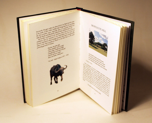 pages from a baker's dozen' book