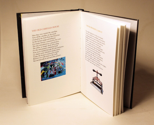 pages from chiaroscuro adjusted book of poems
