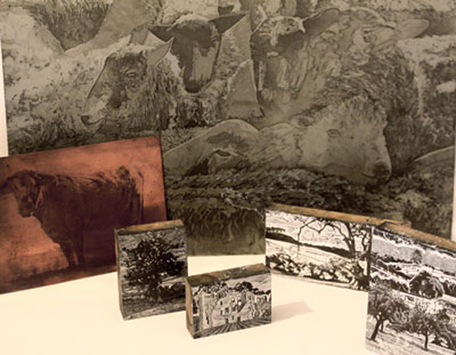 pages from etchings and wood engravings