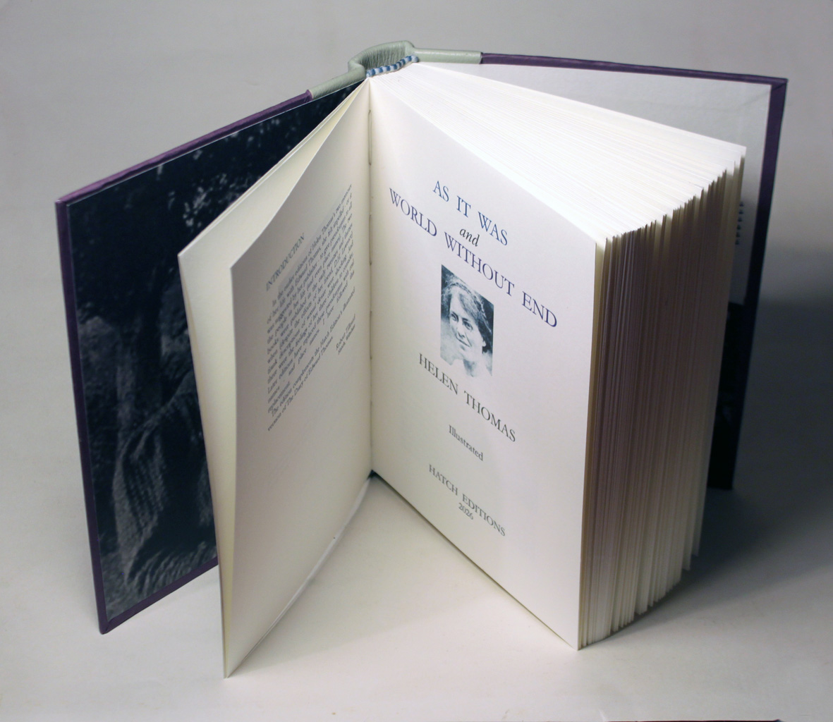 cover of book 