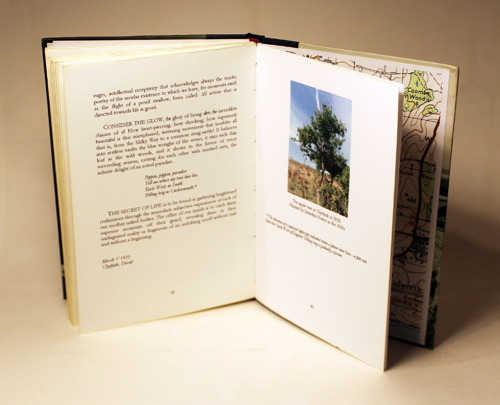 pages from glory of life and now that the gods are dead book by llewelyn powys